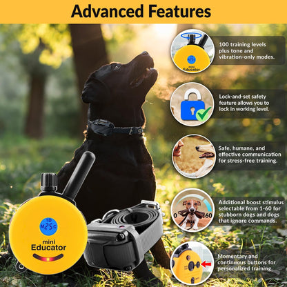 E-Collar ET-300 Mini  Remote Dog Training Collar – 1/2 Mile Waterproof, Premium Finger Clicker Trainer, 100 Stimulation Levels + Vibration + Light + Sound – 1 Dog Small to Medium, Yellow