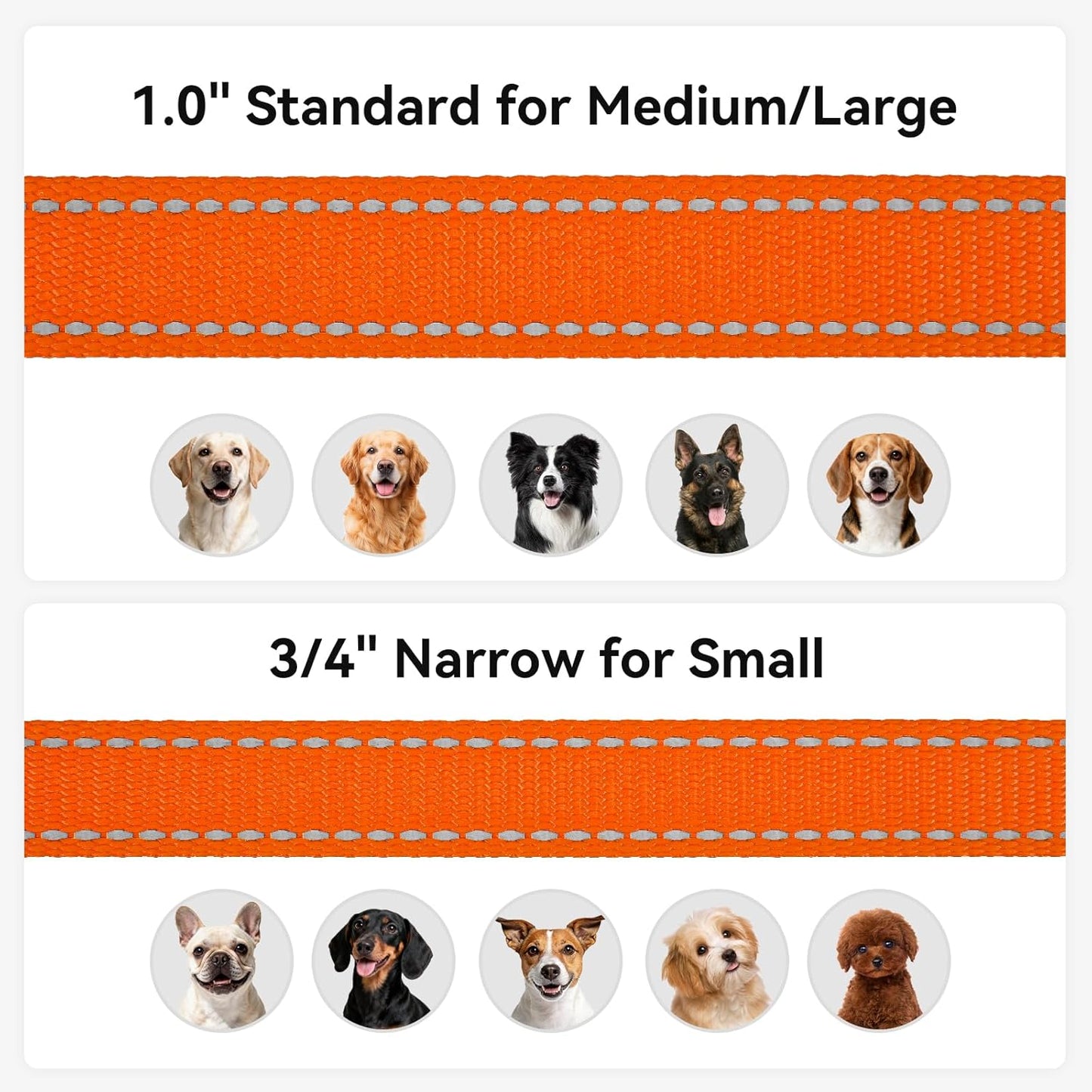 Dog Leash, 5 FT Double-Sided Reflective, Padded Handle Nylon Heavy Duty Leashes for Medium & Large Dogs Walking, Orange